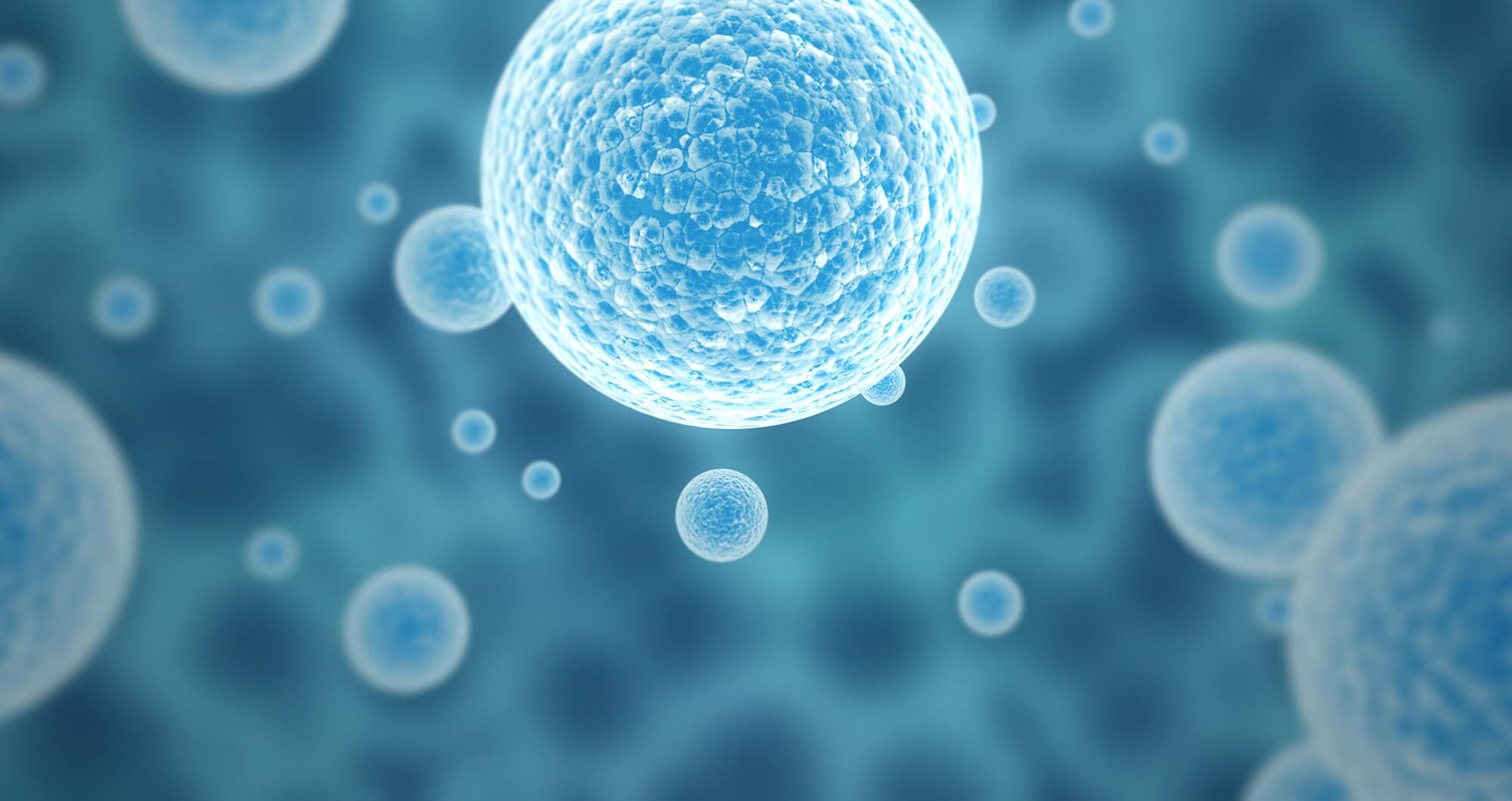 Stem Cell Revive Therapy and Wellness Stuart